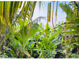 25.75 Cent River Side Plot For Sale Aluva, Desom