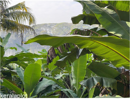 25.75 Cent River Side Plot For Sale Aluva, Desom