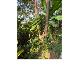 25.75 Cent River Side Plot For Sale Aluva, Desom