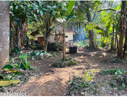 25.75 Cent River Side Plot For Sale Aluva, Desom