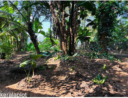 25.75 Cent River Side Plot For Sale Aluva, Desom