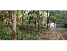 90 Cent Land For Sale near by Nediyavila Devi Temple