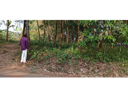 90 Cent Land For Sale near by Nediyavila Devi Temple