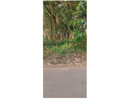 90 Cent Land For Sale near by Nediyavila Devi Temple