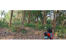 90 Cent Land For Sale near by Nediyavila Devi Temple