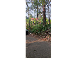 90 Cent Land For Sale near by Nediyavila Devi Temple