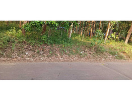 90 Cent Land For Sale near by Nediyavila Devi Temple
