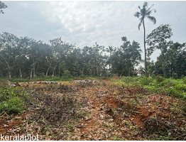 40 Cent Land For Sale at Chenganoor Karakad Mc Road