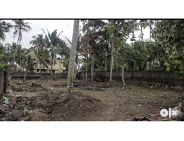 8 Cent Square Plot For sale at Sasthavattom