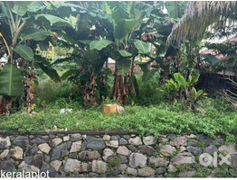 4.25 Cent Land For Sale Near Kumarapuram Signal