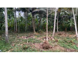 10 cent land For Sale Vattiyoorkav Kulashekaram Shankaranarayana Temple