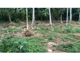 10 cent land For Sale Vattiyoorkav Kulashekaram Shankaranarayana Temple