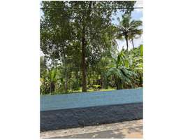 20 Cent Land For Sale Near by Mulanthuruthy Pallithasham bus stand
