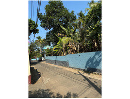 20 Cent Land For Sale Near by Mulanthuruthy Pallithasham bus stand