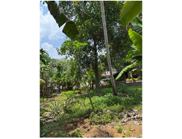 20 Cent Land For Sale Near by Mulanthuruthy Pallithasham bus stand
