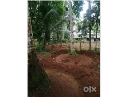 26 Cent Square Plot for Sale Cherukulathoor
