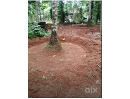 26 Cent Square Plot for Sale Cherukulathoor