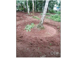 26 Cent Square Plot for Sale Cherukulathoor