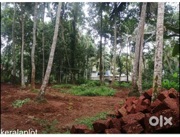 26 Cent Square Plot for Sale Cherukulathoor