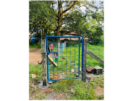 10 Cent Land For Sale Near By Irumbanam Junction