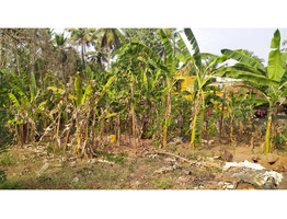 6 Cent Residential plot for sale in Adatt Thrissur District
