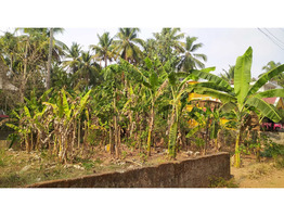 6 Cent Residential plot for sale in Adatt Thrissur District