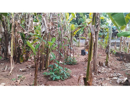 6 Cent Residential plot for sale in Adatt Thrissur District