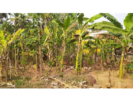 6 Cent Residential plot for sale in Adatt Thrissur District