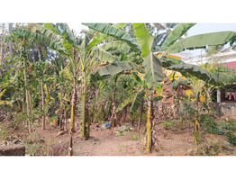 6 Cent Residential plot for sale in Adatt Thrissur District