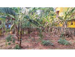 6 Cent Residential plot for sale in Adatt Thrissur District