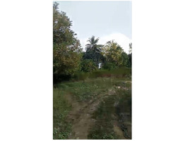 36 Cent Land For Sale at Munnar, Marayoor Pious Nagar