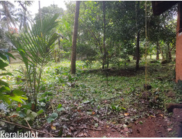 Land and House for sale