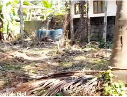 6.45 Cent Land For Sale at Heat of Calicut Town