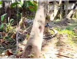 6.45 Cent Land For Sale at Heat of Calicut Town