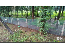 House plots for sale between Iritty & Peravoor