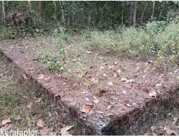 8 cent land for sale near by Thumpamon