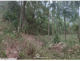Commercial Land For Sale