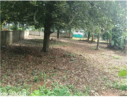 10 Cent Residential Land in Flood Free Area at Koratty, in Thrissur