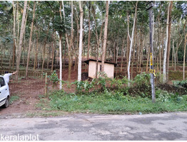 1 Acer Land For Sale Near by Karuvankad, Thrissur District
