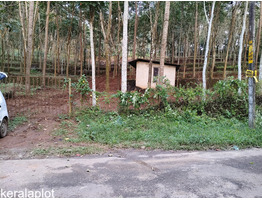 1 Acer Land For Sale Near by Karuvankad, Thrissur District