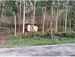1 Acer Land For Sale Near by Karuvankad, Thrissur District