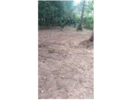 55.5 Cent Land for Sale Chembu