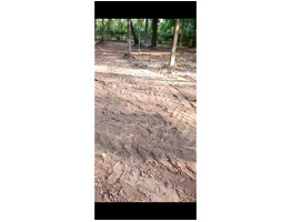 55.5 Cent Land for Sale Chembu