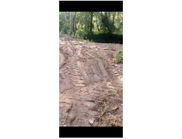 55.5 Cent Land for Sale Chembu
