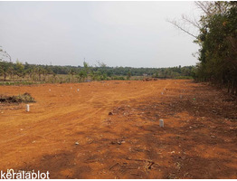 1.43 Acer Land For Sale at Palakkad