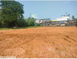 52 Cent Land For Sale at Aluva, Desom