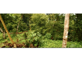 50 Cent Land With House For Sale