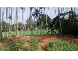 23 Cent Land For Sale Near by  Thamarassery Town