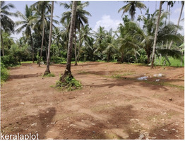 23 Cent Land For Sale Near by  Thamarassery Town