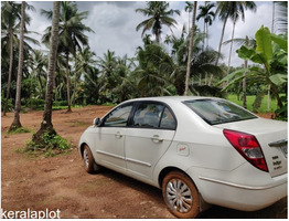 23 Cent Land For Sale Near by  Thamarassery Town